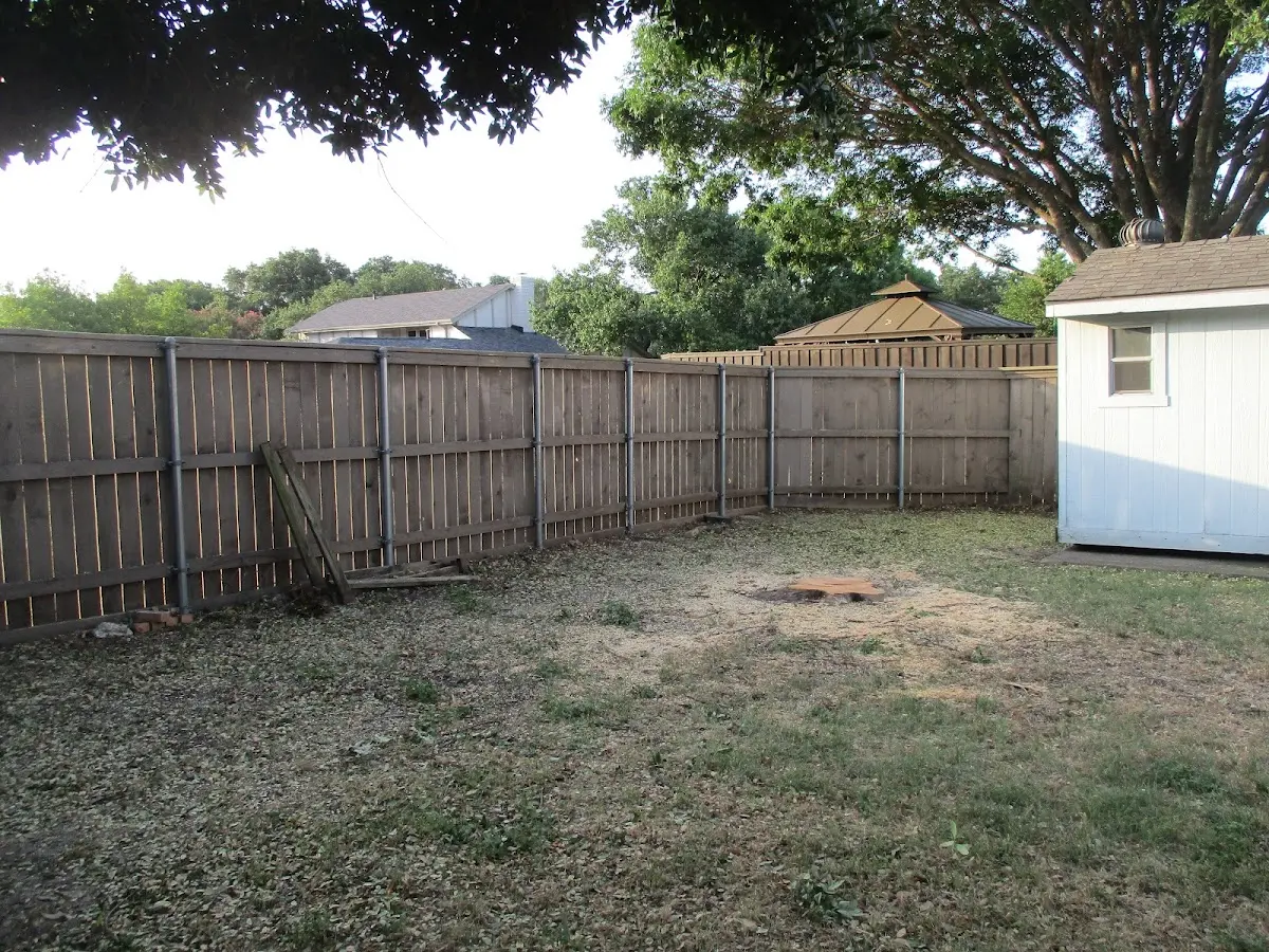 Cleared yard after professional tree removal in Bovey